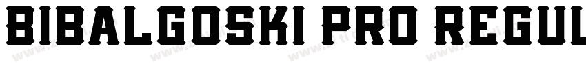 Bibalgoski Pro Regul字体转换